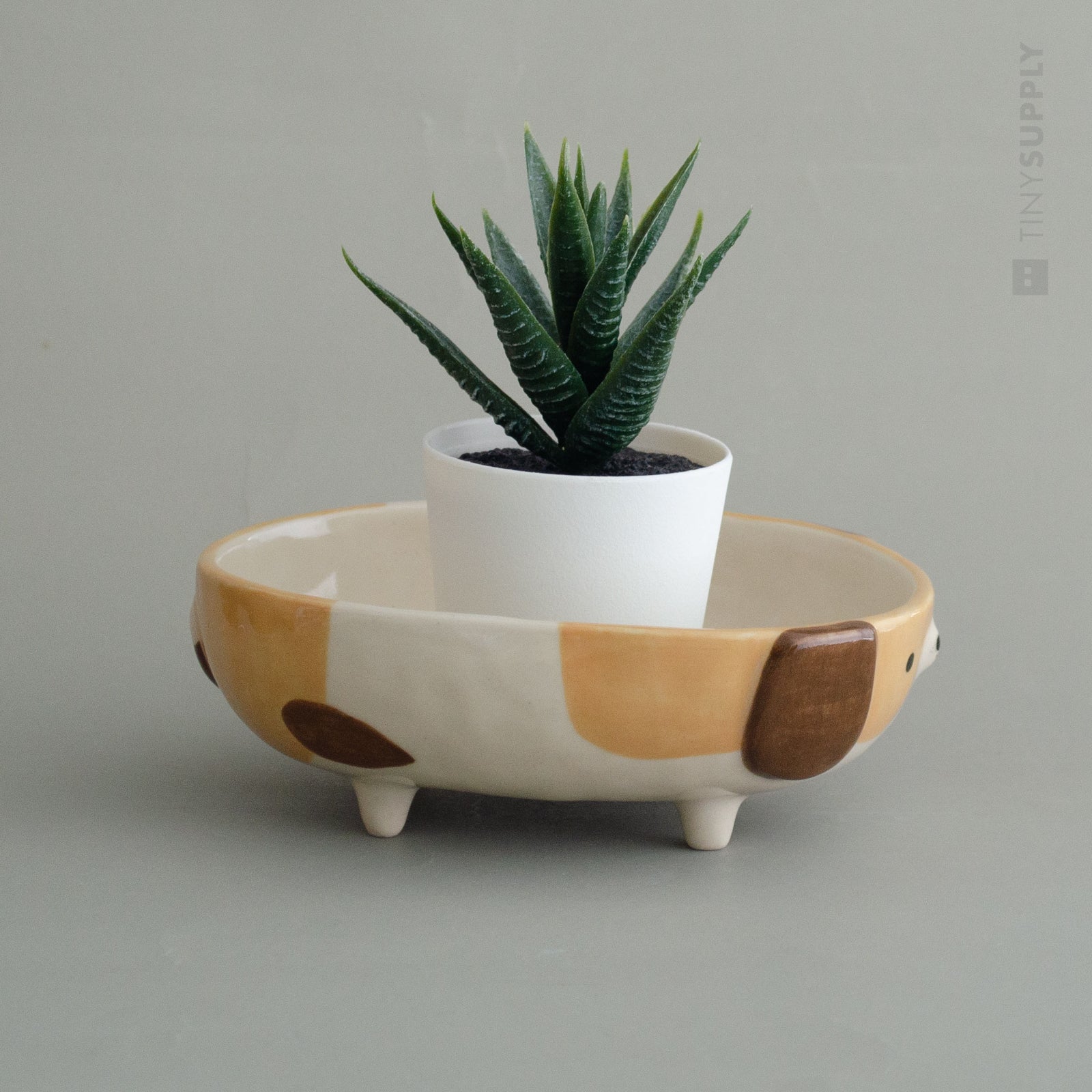 Pudgy Pup Dish
